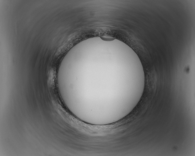 X0000116290038200912141322