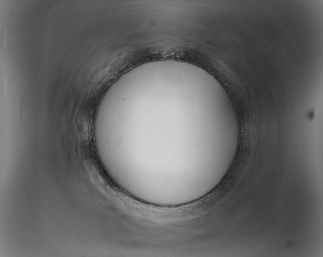 X0000116290039200912141322