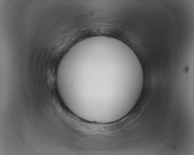 X0000116290040200912141322