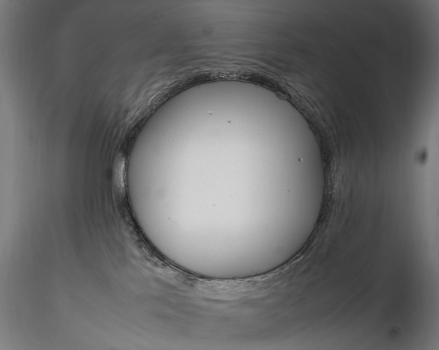 X0000116290041200912141322