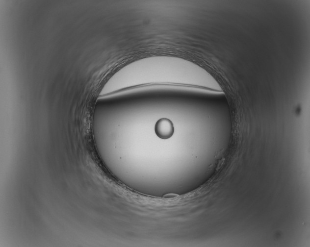 X0000116290043200912141322