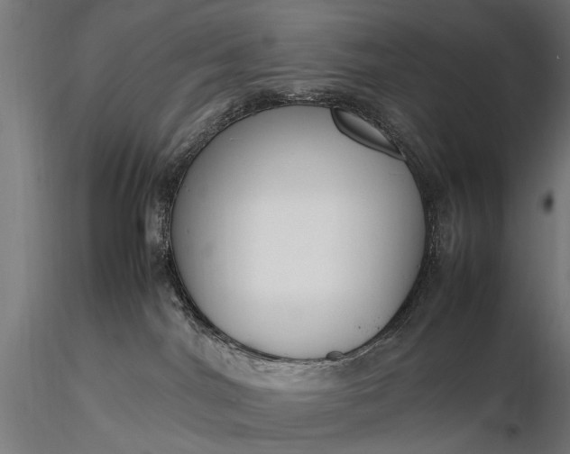 X0000116290044200912141322