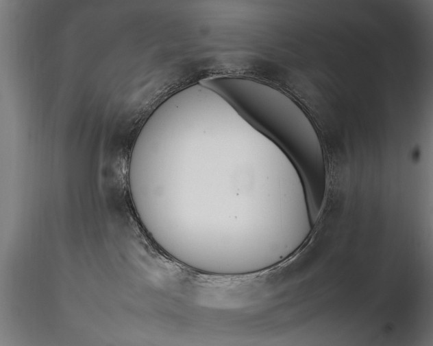 X0000116290045200912141322