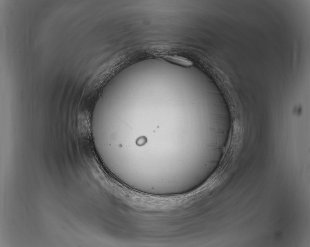 X0000116290048200912141322