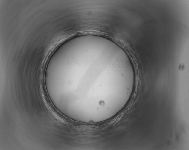 X0000116290049200912141321