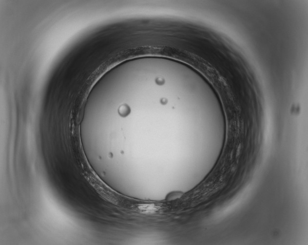 X0000116290050200912141321