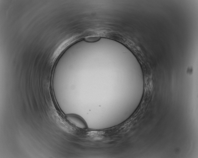 X0000116290051200912141321