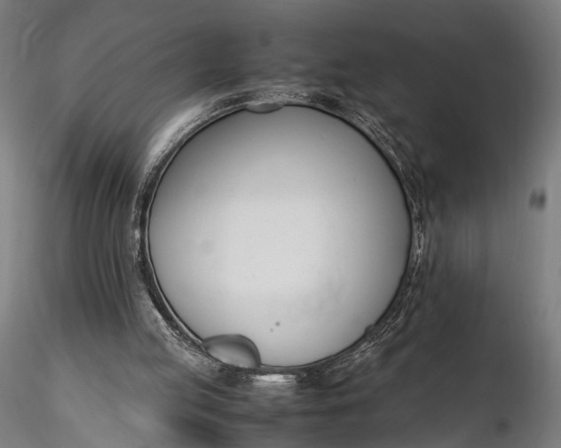 X0000116290053200912141321