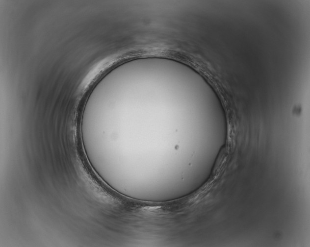 X0000116290054200912141321