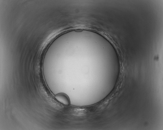 X0000116290055200912141321