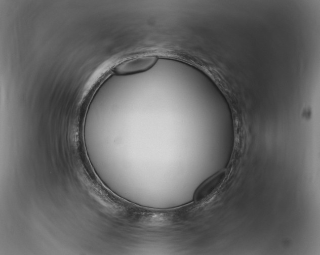 X0000116290056200912141322