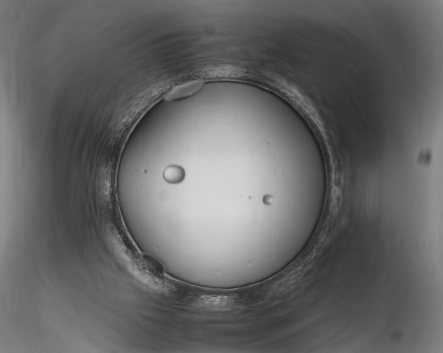 X0000116290057200912141322