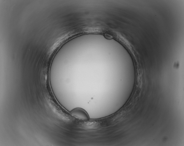 X0000116290059200912141322