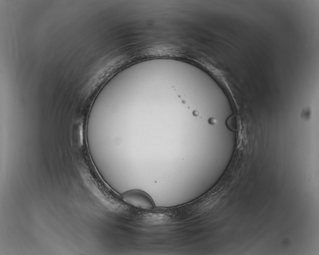 X0000116290061200912141322