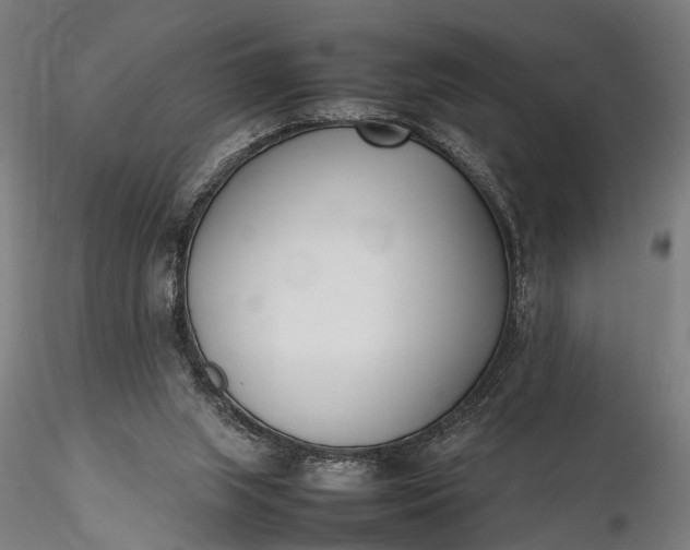 X0000116290063200912141322