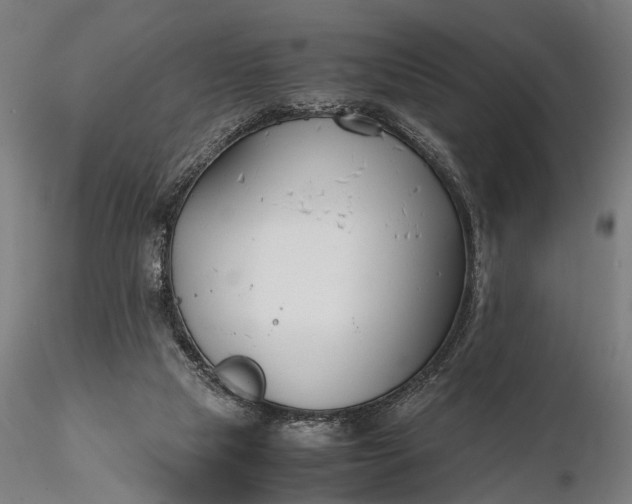 X0000116290065200912141322