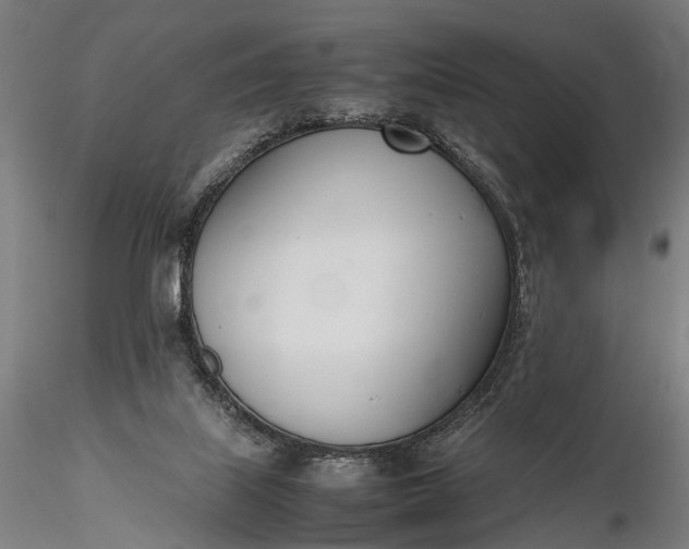 X0000116290067200912141322