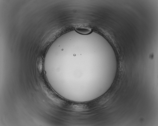 X0000116290069200912141322