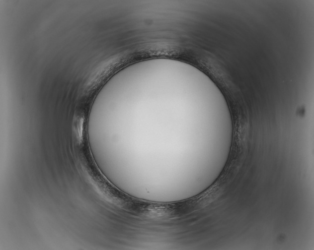 X0000116290070200912141322