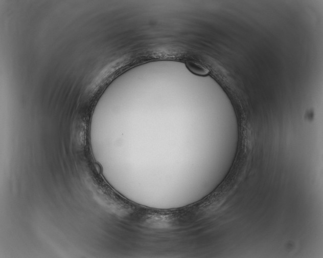 X0000116290071200912141322