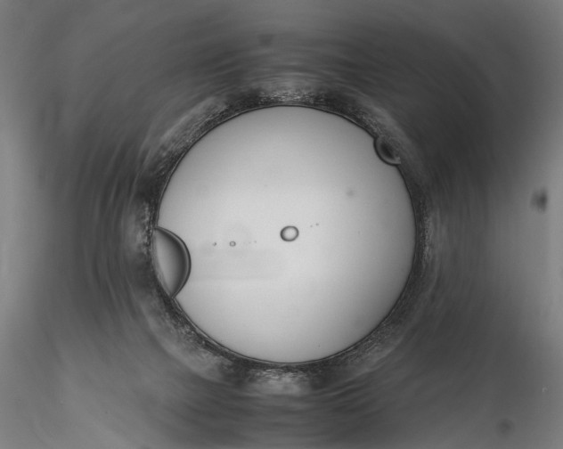 X0000116290073200912141322