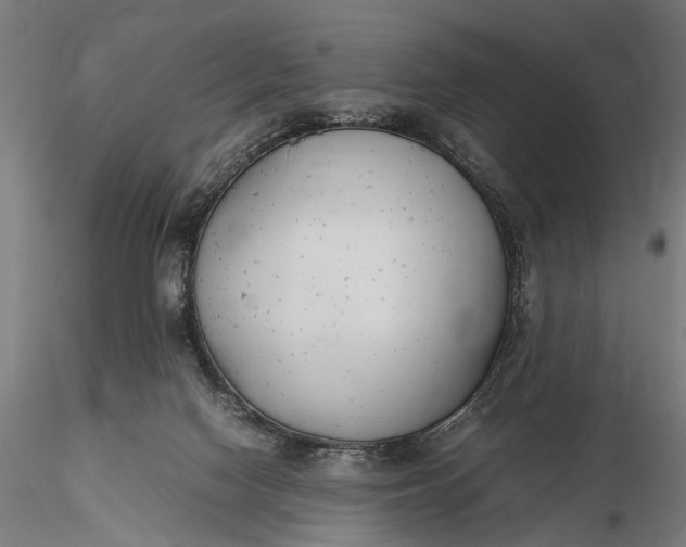 X0000116290074200912141322