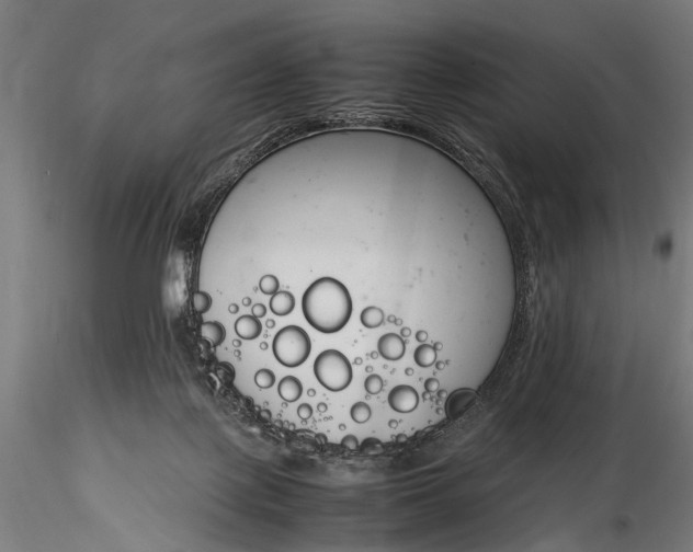 X0000116290075200912141322