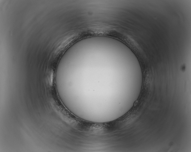 X0000116290076200912141322