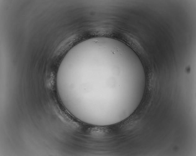 X0000116290077200912141322