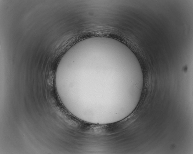 X0000116290078200912141322