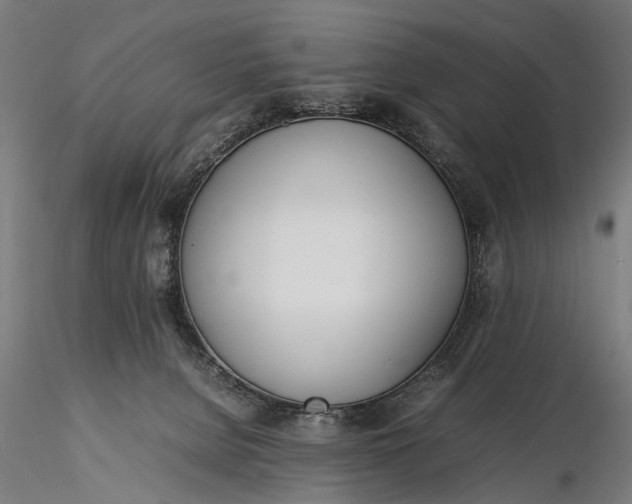 X0000116290080200912141322