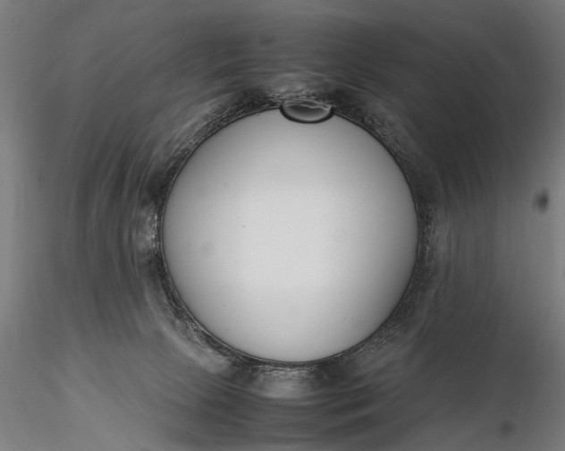 X0000116290081200912141322