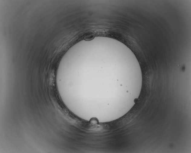 X0000116290083200912141322