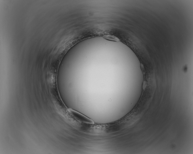 X0000116290084200912141322