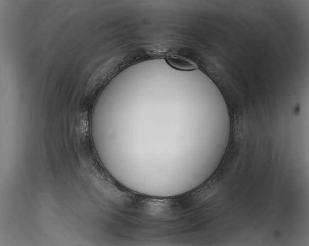 X0000116290085200912141322