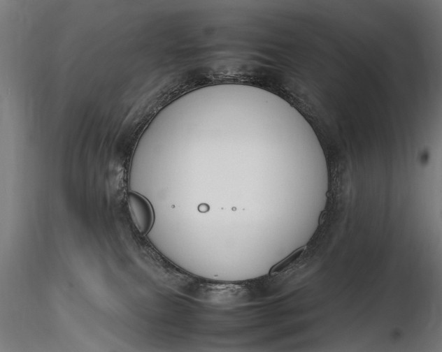 X0000116290087200912141322