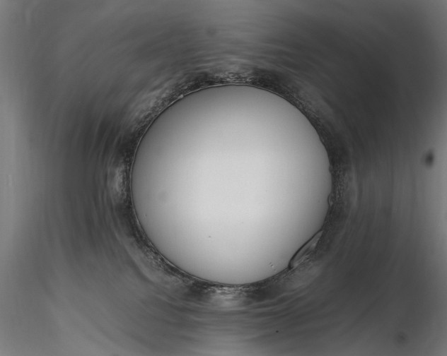 X0000116290088200912141322