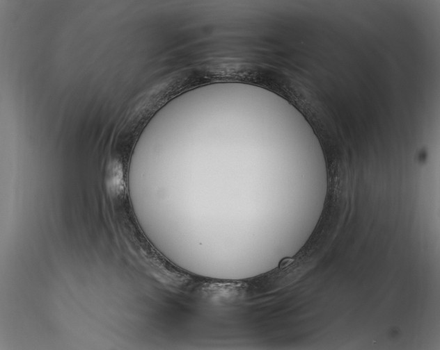 X0000116290089200912141322