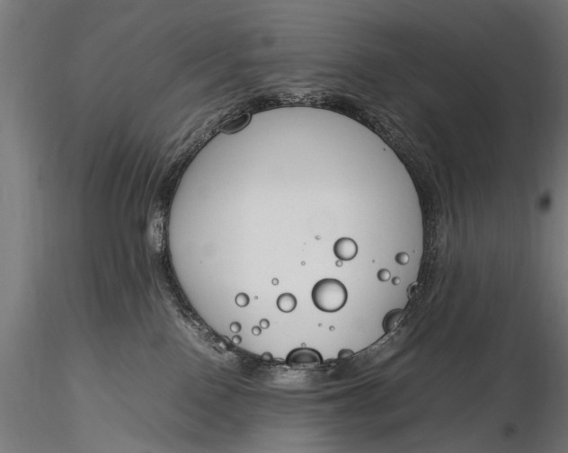 X0000116290090200912141322