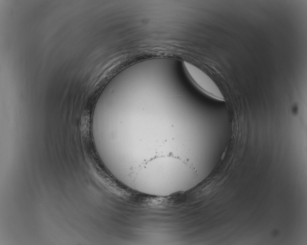 X0000116290092200912141322