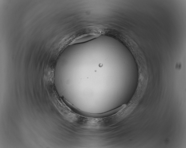 X0000116290096200912141322