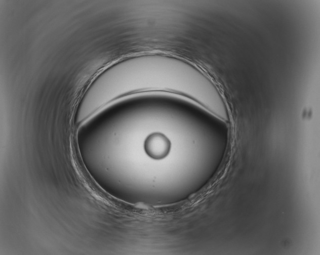 X0000116290097200912141321