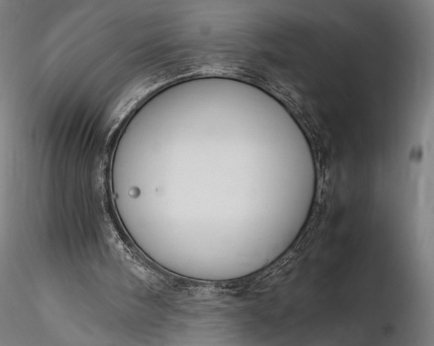 X0000116290098200912141321