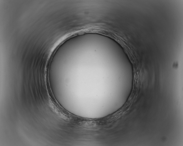 X0000116290100200912141321