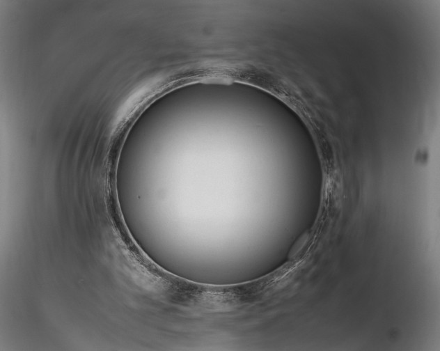 X0000116290101200912141321