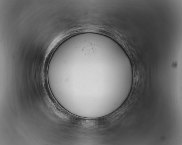 X0000116290102200912141321