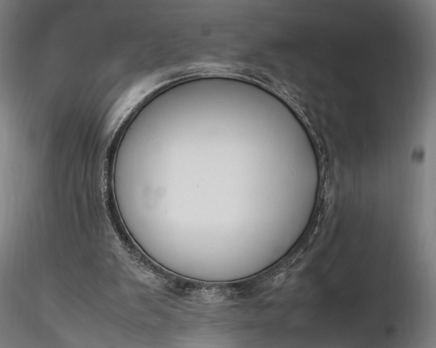 X0000116290103200912141321