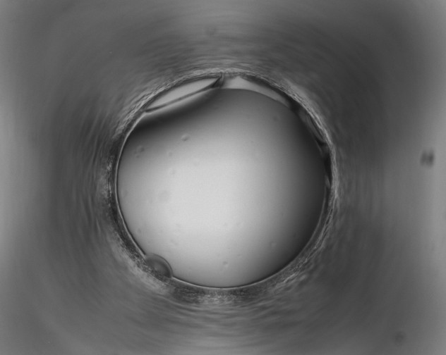 X0000116290105200912141321