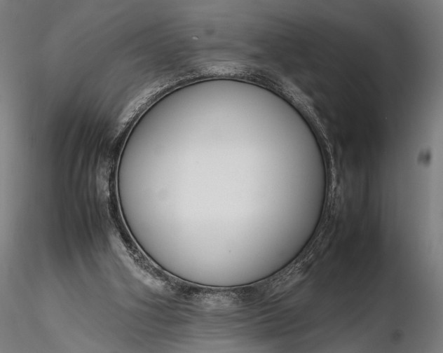 X0000116290106200912141321