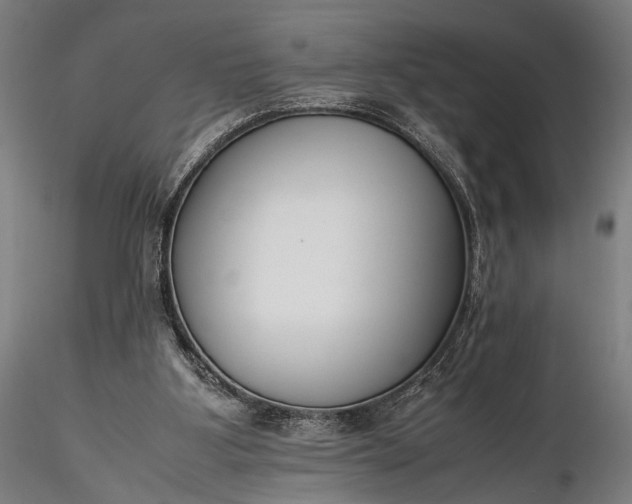 X0000116290107200912141321